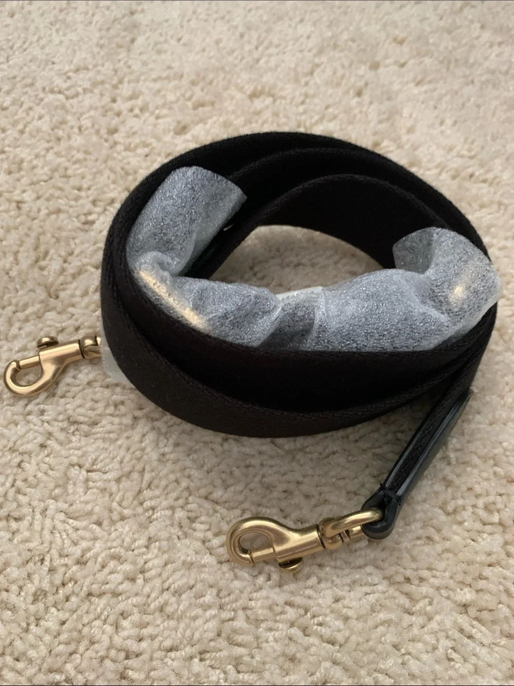 Coach web strap